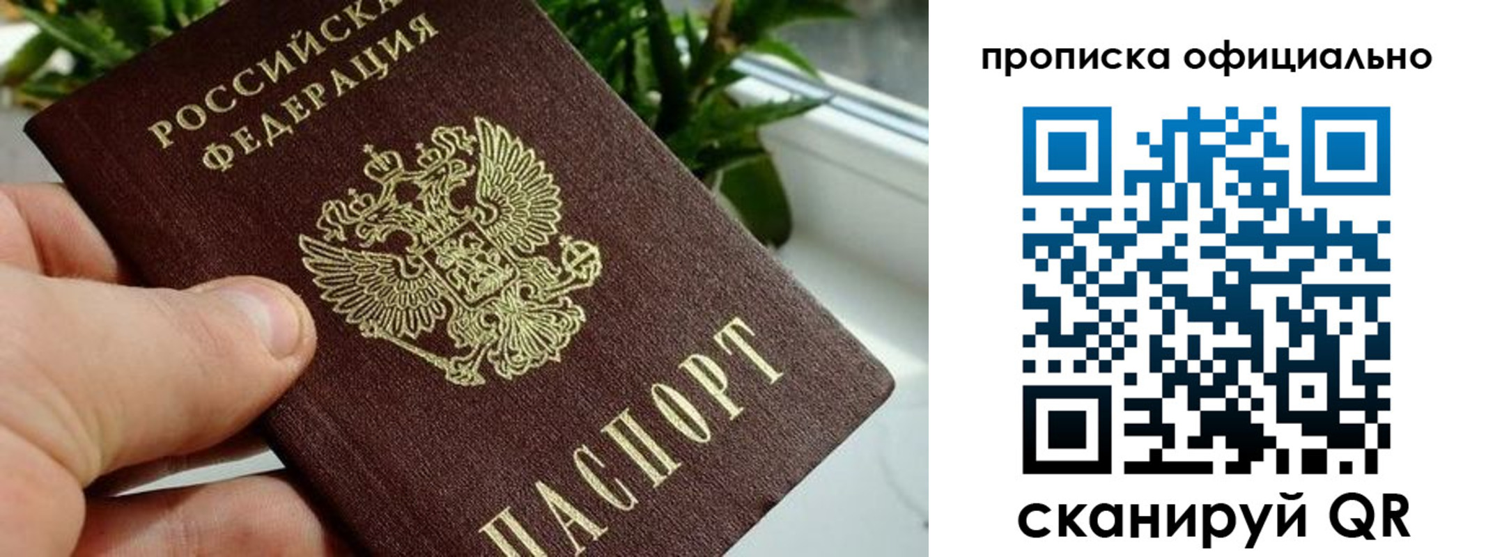 прописка поиск в Бородино